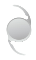 Multifocal Intraocular Lens